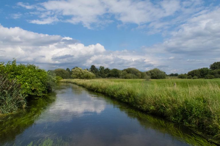 Canoeing on the Dommel | Freeranger Canoe