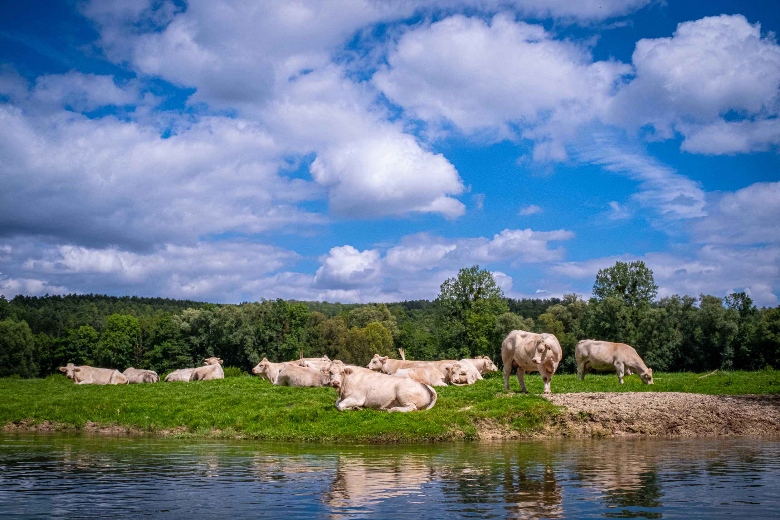 Meerdaagse kanotrip op de Maas